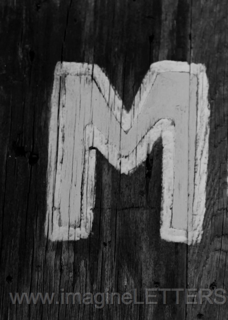 Wall_Art_Alphabet_Photography_Art_ 1421.jpg